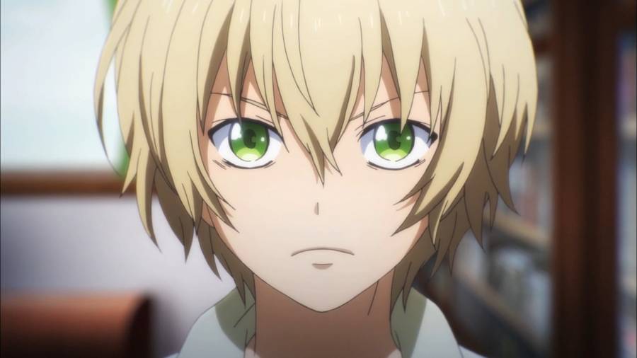 Aoharu x Kikanjuu - 11