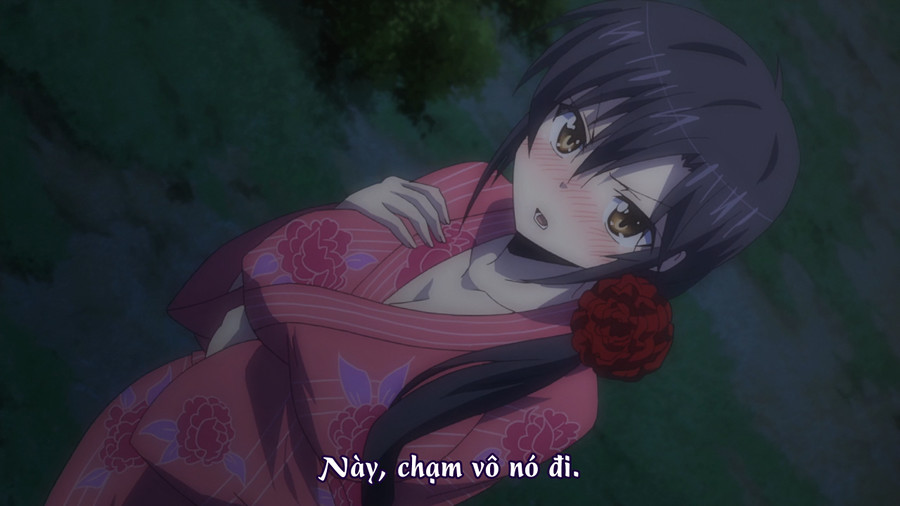 Okusama ga Seitokaichou!+! [02]